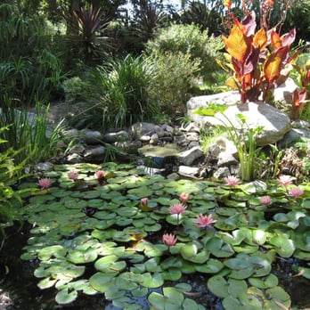 Botanic Garden in San Diego
