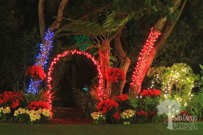 San Diego Botanic Garden